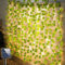 Joycome Catena Luminosa Esterno Solare, 12M 100 LED Luci Stringa Solari di Edera Artificiale 8 Modalità Impermeabile Lucine Decorative per Giardino Terrazzo Matrimonio Festa Casa Natale
