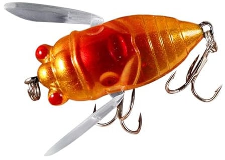 Zikade lockt zum Angeln | Realistische Zikade Hartfisch Köderfischer