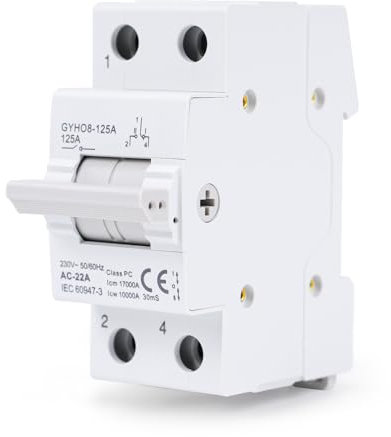 GEYA Commutatore 1P 125A interruttore separatore di carico Dual Power Manual Transfer Isolating Switch AC 220V Interlock Interruttore di protezione manuale a doppia potenza interruttore montaggio DIN