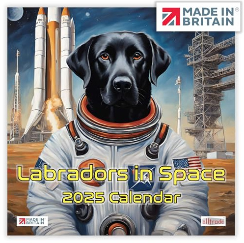 ALLTRADE Kalender 2025, Feiertage, Labradors im Weltraum, Monatsansicht 610 x 305 mm, großer Wandkalender 2025, Jan-Dez, tolles Geschenk für Mutter, Vater, Kollegen, Freunde und Familie, hergestellt
