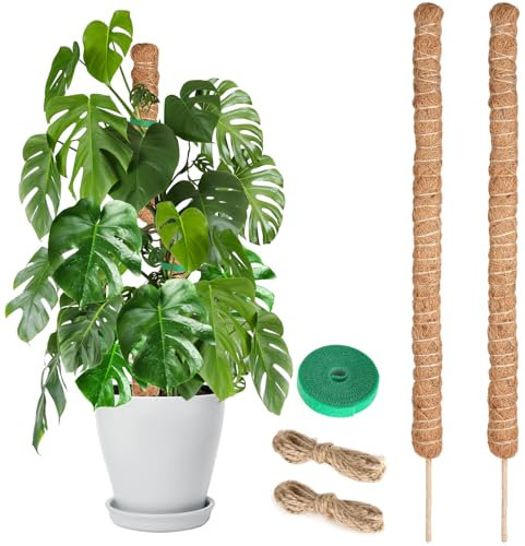 Moss Pole for Monstera, 80CM, 2 Pcs Sticks, Plant Supports for Indoor Plants, for Climbing Vines, Pothos, Potted, Comes with Velcro Tape and Hemp Rope