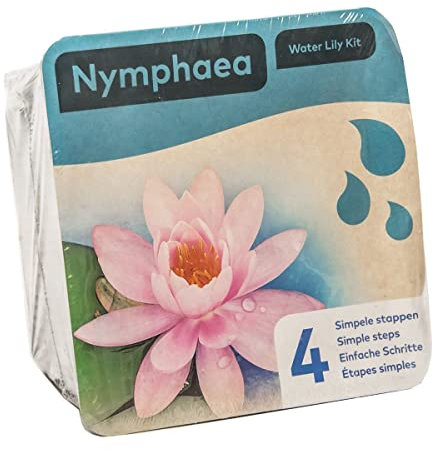 Moerings Pink Water Lily Pond Plant Kit - Complete Kit for Easy Pond Setup