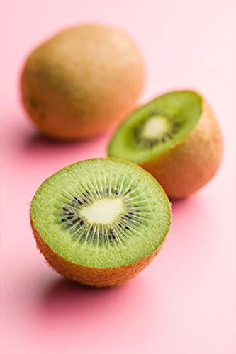 pianta di Kiwi albero di Kiwi varietà Hayward Maschio Impollinatore in vaso Età 2 anni pianta vera di Kiwi venduta da eGarden.store