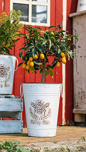 Dekoleidenschaft Deko-Eimer Biene hoch, Metall, Creme-weiß im Antik Design mit Rost Finish, Vase, Retro Blumen-Übertopf, Blumentopf, Pflanzgefäß, Garten-Deko für Draußen