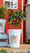 Dekoleidenschaft Deko-Eimer Biene hoch, Metall, Creme-weiß im Antik Design mit Rost Finish, Vase, Retro Blumen-Übertopf, Blumentopf, Pflanzgefäß, Garten-Deko für Draußen