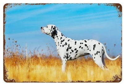 YYHMKBYY Schöner Dalmatiner auf einem Feld,Blechschild Wanddekoration Metallposter Retro Plakette Warnschild Handwerk für Büro Cafe Club Bar,15 x 30 cm （6 x12 Zoll）-424