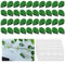 Pflanzenclips für Kletterpflanzen Wand,40 Stück Rankhilfehalter Pflanzenclips,Kletterpflanzen Befestigung,Wandbefestigung für Pflanzen,Pflanzenhalter Befestigung Outdoor,Pflanzenklammern Selbstklebend