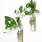 PACDONA 2 Stück Wandbehang Pflanzgefäße Glas Terrarien – Rechteckige Form Pflanzenhalter Luftpflanzen Sukkulenten Pflanzgefäße Blumen Glas Wand Vase Behälter für Pflanzen, Dekoration und Display
