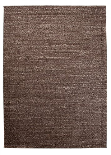 Carpeto Groß Teppich Wohnzimmer 190x270cm Braun Einfarbig Weich Kurzflor | Teppich für Schlafzimmer Büro Esszimmer Eingangsbereich Pflegeleicht Fußbodenheizungsgeeignet Minimalistisch Synthetisch