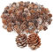 com-four® 100x Dekozapfen Lärche - Streudeko für Herbst und Winter - Zapfendeko - kleine Lärchenzapfen - Tannenzapfen (100x Lärchenzapfen weiß)