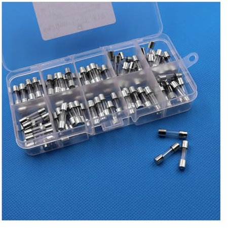 CGEAMDY 100 Stück Glasrohrsicherung, 5x20mm Schnelles Schmelzen Glas Sicherungen, Professionell Auto Glasrohrsicherungen, Fast-Schlag Glassicherung Glasrohr Assortierte