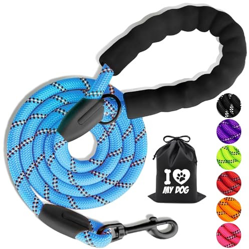 LOSLAI Laisse Chien Cord 2.2m, Laisse de Dressage pour Chien en Nylon avec Poignée Rembourrée Douce et des Fils réfléchissants Convient aux Chiens de Petite à Grande Taille, Bleu(1.2cm*2.2m)