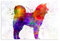 FISH DRAGATE Akita Inu Hunde-Poster, Leinwand, Schlafzimmer, Dekoration, Sport, Landschaft, Büro, Raumdekoration, Geschenk, ohne Rahmen, 30 x 45 cm