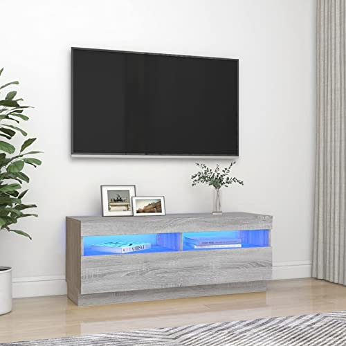 ARKEM TV-Schrank mit LED-Leuchten Grau Sonoma 100x35x40 cm HiFi Rack Sideboard Wohnzimmer
