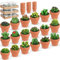 pistro Juego de 18 velas de té de cactus suculentas, velas de té hechas a mano con mini soportes de arcilla de terracota, regalo perfecto para baby shower, cumpleaños, Navidad, boda y fiesta