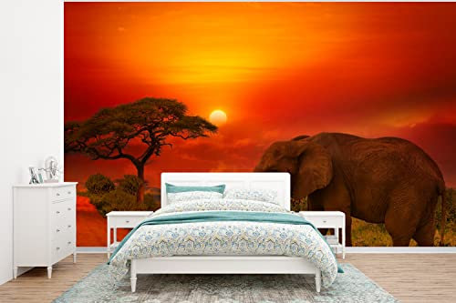 Selbstklebend Tapete Wandpapier Wandaufkleber Fototapete Tapeten Wanddeko 375x280 cm Elefant - Sonnenuntergang - Orange - Savanne - Tiere