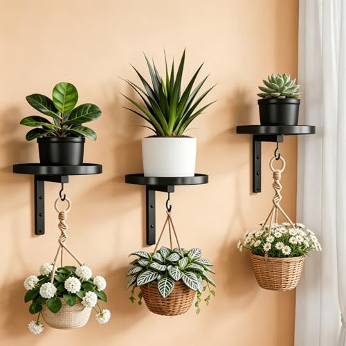 BUERPINKING Wand Pflanzenhalter, Pflanzen Wandhalterung für Indoor Outdoor, Pflanzenregal Wand mit Haken, Wandhalterung Pflanzen für Balkon Wohnzimmer Terrasse (2)