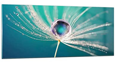 Wandbilder Dekoration Wohnzimmer Pflanze Natur Panorama Bilder auf Glas 120x50cm Glasbild Schlafzimmer Küche Wand Kunstdruck Art Groß Wanddeko Bild im Glas Modern Wall Decor Glasdruck GAB120x50-3991