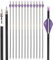 Bogenschießen Pure Carbon Pfeile Spine 300 350 400 500 600 Jagdziel Übungspfeile 32 Zoll Schießpfeil für Recurvebogen Compoundbogen (2 lila 1 weiß, 6pcs Spine 350)