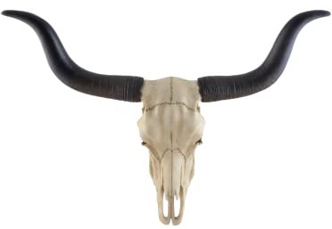 VOGLER Joh. Vogler GmbH Longhorn-Rinderschädel - by Veronese