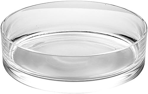 Yardwe Clear Glass Terrarium Planter Hydroponics Flower Pot for Succulents Decoration Decor for Weddings Gatherings