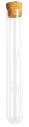Mipcase 10 Pcs Glass Test Clear Vases Shots Glass Vials Plant Vase Vials with Caps Clear Flower Vase Cylinder Vases Mini Tube
