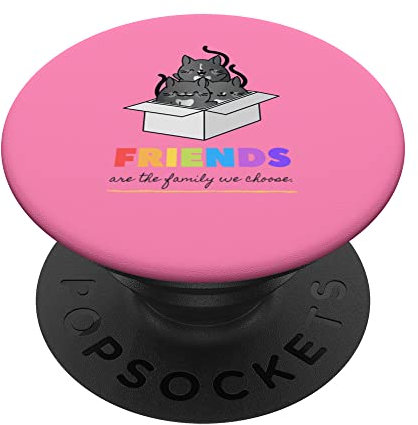 Freunde sind die Familie Wir wählen Cat Friend Cozy Vibes PopSockets Klebender PopGrip