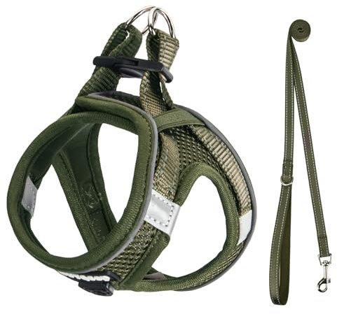 UVTQSSP Hundegeschirr Kleine Hunde mit Leine Gepolstert, Welpengeschirr, Dog Harness Hunde Geschirr Klein, Olivgrün XXS
