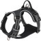 WINHYEPET True Love TLH5654 Hundegeschirr, gegen Ziehen, verstellbare Outdoor-Weste, reflektierend, Nylon, weich, geeignet für kleine, mittelgroße und große Rassen, Schwarz, Größe S