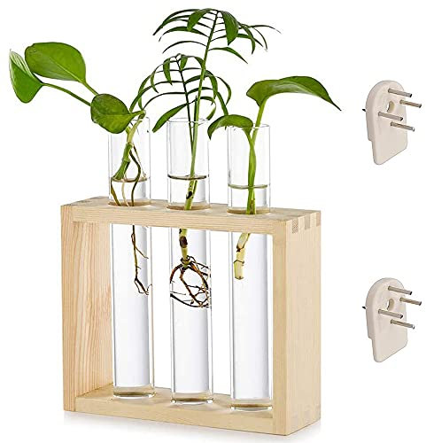 Reagenzglas Pflanzer, Glas Reagenzglas Blumenvase, Hydrokultur Pflanzen Mit Holzständer, Kann Holz Transparent Hängen Reagenzglasvase für Desktop Office Home Wanddekoration (3 Reagenzgläser)