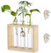 Reagenzglas Pflanzer, Glas Reagenzglas Blumenvase, Hydrokultur Pflanzen Mit Holzständer, Kann Holz Transparent Hängen Reagenzglasvase für Desktop Office Home Wanddekoration (3 Reagenzgläser)