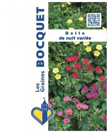 Sachet de graines de Belle de nuit variée - 3 g - fleur vivace - LES GRAINES BOCQUET