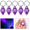 tooloflife Mini-LED-Taschenlampe, UV-Geldprüfer, Schlüsselanhänger, LED-Gelddetektor-Licht, 7 Farben, 2/5 Stück