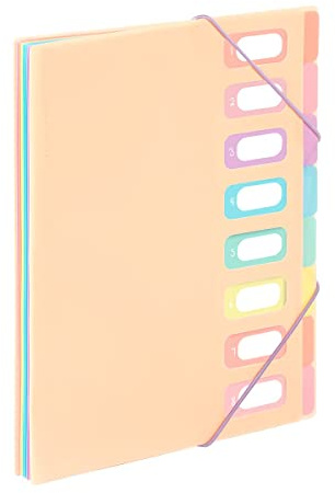 Viquel - A4 Dokumenten-Organizer mit 8 Fächern, Regenbogen-Pastell-Beige