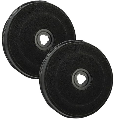 vhbw 2x Filtre à charbon actif compatible avec Electrolux DAEFT513WE - 949610033, EFT60022K - FAC 519, EFT60022S - FAC 519 hotte de cuisine