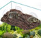 ZENFUN Plateforme d'escalade pour Tortue avec 3 ventouses, terrasse de Repos pour Tortue de bébé, Rampe d'escalade de schiste et Reptiles pour Les Grenouilles