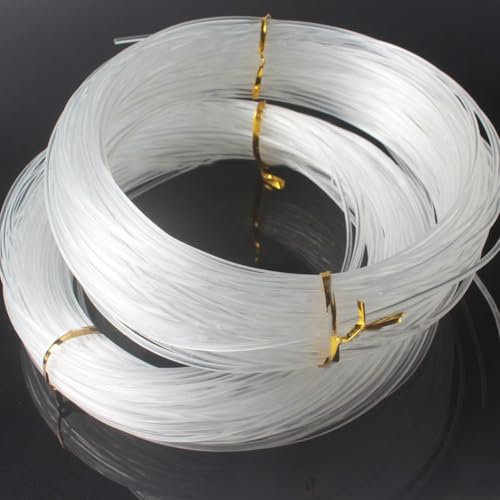 Strapazierfähige Angelschnur, hohe Zugfestigkeit, monofile Spearfishing Rope, 98 1,2 m Länge (2,0 transparent)