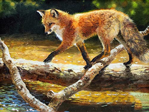 5000 Pieces Jigsaw For Adults Puzzle Family Fox Suitable For Adults,Teenagers And Families Halloween Finished size 156×105cm