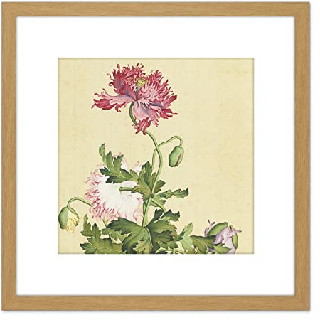 Artery8 Castiglione Opium Poppy Flower Painting 8X8 Inch Square Wooden Framed Wall Art Print Picture with Mount