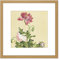 Artery8 Castiglione Opium Poppy Flower Painting 8X8 Inch Square Wooden Framed Wall Art Print Picture with Mount