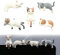 Mrltau 5 Pcs Süße Mini Katzenfiguren, Auto Deko Innenraum, Cute Car Accessories Interior, Auto Rückspiegel Katze Deko Katzenfigur, Miniatur Tiere, Mini Figuren