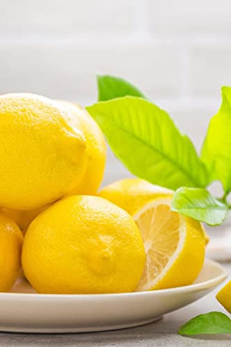 albero di limone zagara bianco pianta di limone varietà zagara bianco continua fruttificazione età 2 anni pianta vera venduta da eGarden.store