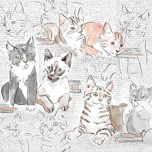 Party-Servietten mit Katzenmotiv, 40 Stück, 2 Packungen mit 20 CT Cocktail-Servietten, Bibliothekskatzen-Design, 12,7 x 12,7 cm