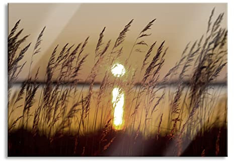 Pixxprint Glasbild, Wandbild aus Echtglas, Gräser bei Sonnenuntergang, 60x40 cm, inkl. Aufhängung und Abstandshalter