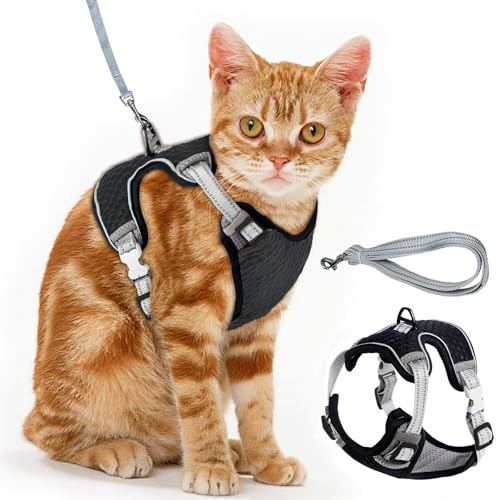 Brustgeschirr Cat, Verstellbares Katzengeschirr Ausbruchsicher Katzenleine Set, Verstellbar weich Kätzchenweste Katze Brustgeschirr mit Reflektierend Streifen & Atmungsaktiv Netzgewebe (Schwarz, XS)