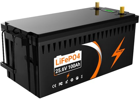 WSDAV Lifepo4 Battery 24V 100AH Li-Ion Battery 100A BMS Cycles Over 4000 Times Suitable for RV/Marine/Golf Cart/Solar Cell