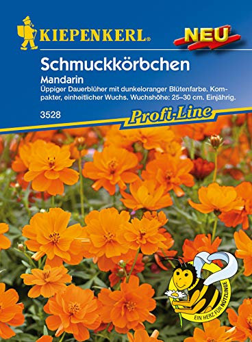 Schmuckkörbchen Mandarin, üppiger Dauerblüher lockt zahlreiche Insekten und Nützlinge an