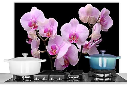KitchenYeah© Fond de Hotte 80x55 cm Aluminium Crédence Cuisine Décoration Murale Crédence Plaque de Cuisson Anti Projection Orchidée - Fleurs - Rose - Flore