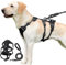 XSpecial Pettorina Cane Taglia Media con Guinzaglio, Pettorina Cane ad h Regolabile con 2 Metallo Ganci, Pettorina Antifuga Cane Riflettente, Sicurezza Cani Traspirante per Addestramento Corsa