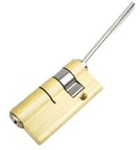 Cylindre à Bouton,Cylindre de Serrure Noyau de verrouillage spécial pour cylindre de verrouillage automatique d'empreintes digitales avec noyau à queue 2Keys Serrure de porte anti-vol (Color : 45x18